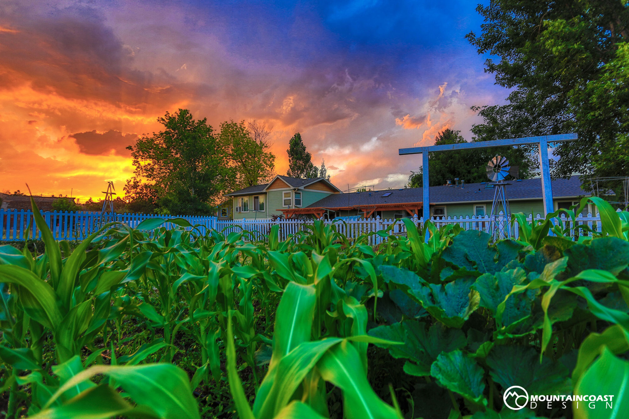 Crops and home against sunset.