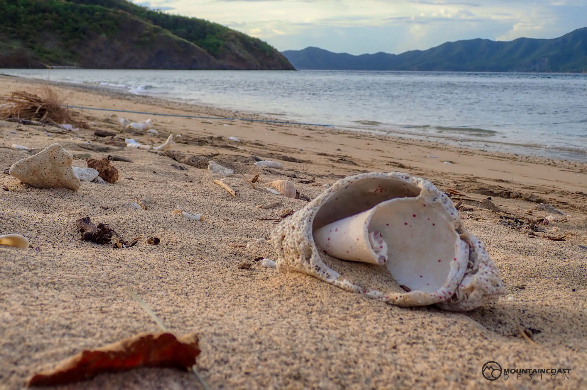 Beach, Shell and Mountains.