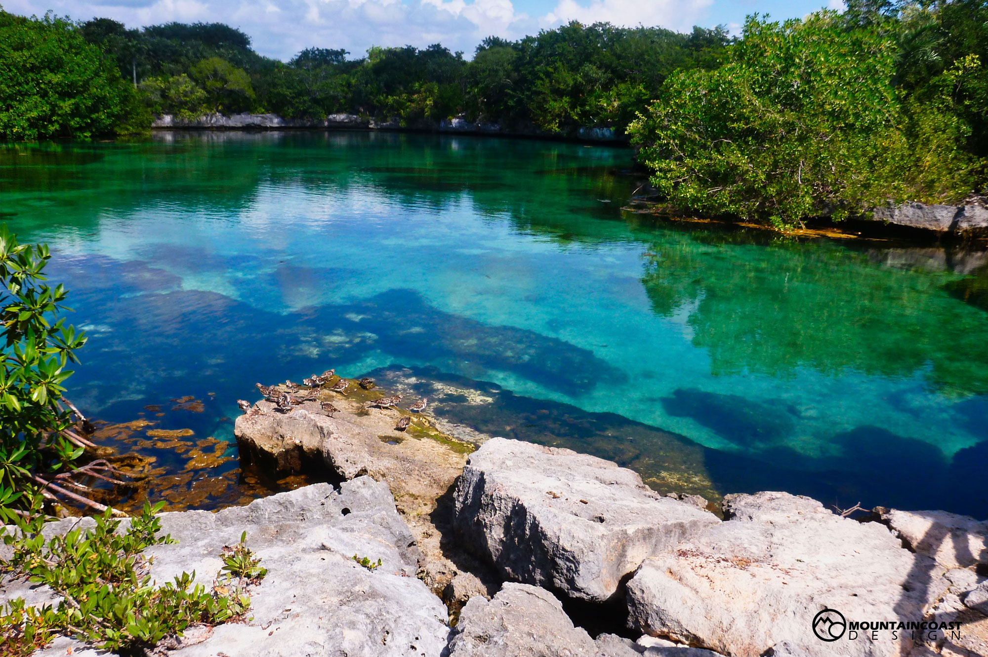 Cenote.